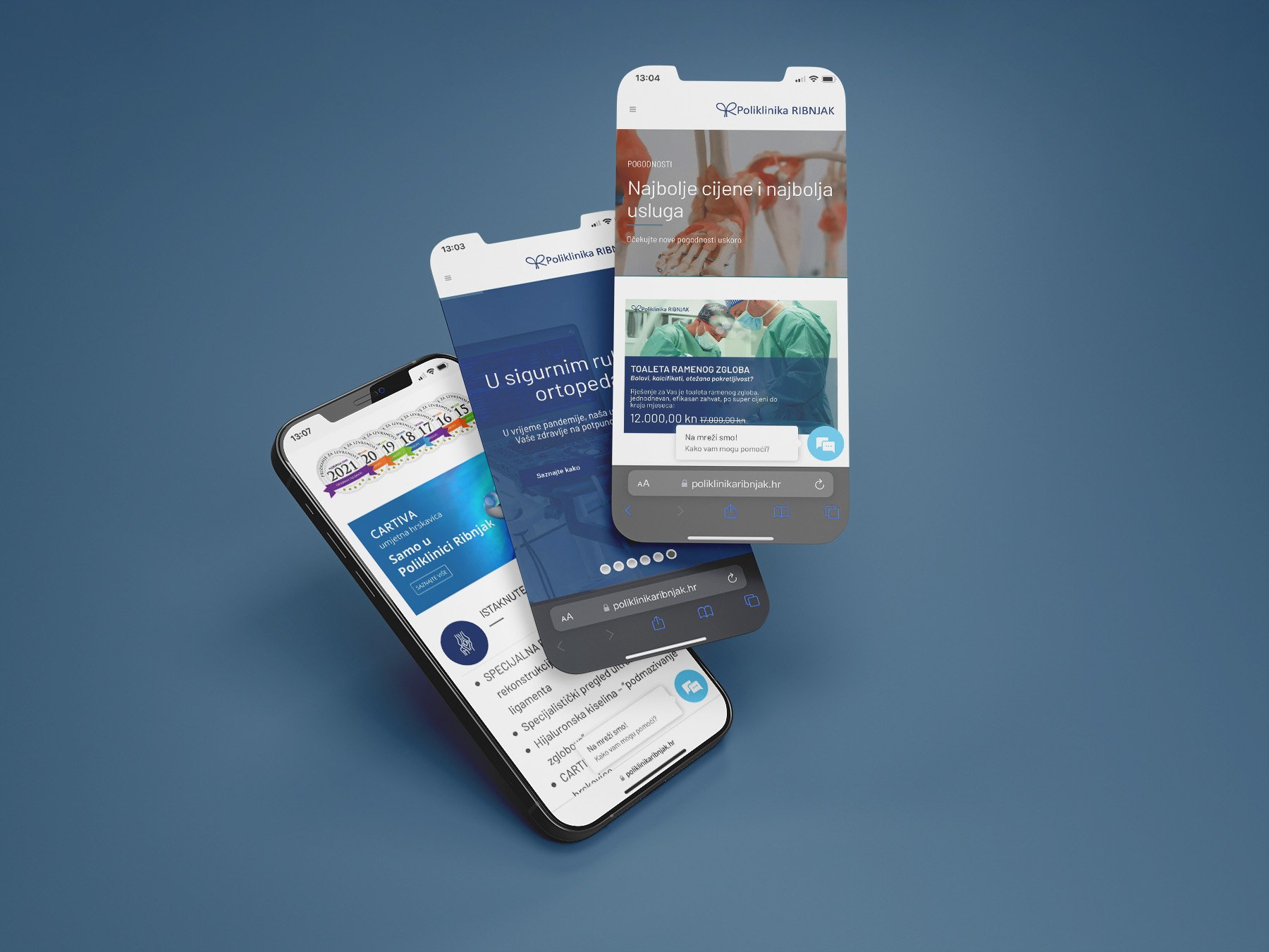 Poliklinika Ribnjak web